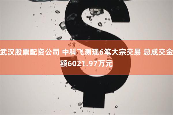 武汉股票配资公司 中科飞测现6笔大宗交易 总成交金额6021.97万元