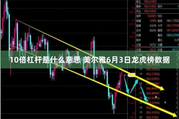 10倍杠杆是什么意思 美尔雅6月3日龙虎榜数据