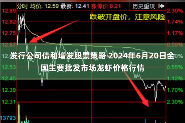 发行公司债和增发股票策略 2024年6月20日全国主要批发市场龙虾价格行情