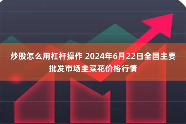 炒股怎么用杠杆操作 2024年6月22日全国主要批发市场韭菜花价格行情
