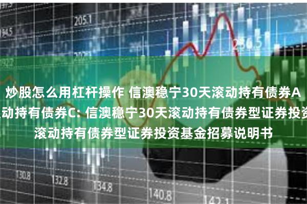 炒股怎么用杠杆操作 信澳稳宁30天滚动持有债券A,信澳稳宁30天滚动持有债券C: 信澳稳宁30天滚动持有债券型证券投资基金招募说明书