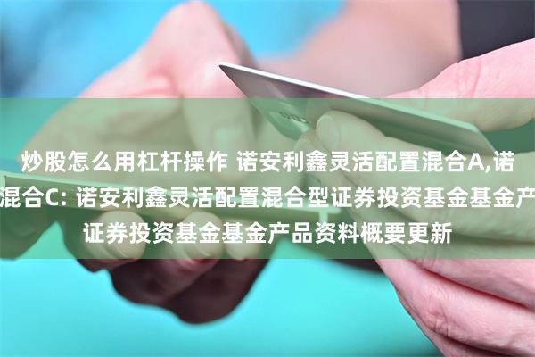 炒股怎么用杠杆操作 诺安利鑫灵活配置混合A,诺安利鑫灵活配置混合C: 诺安利鑫灵活配置混合型证券投资基金基金产品资料概要更新