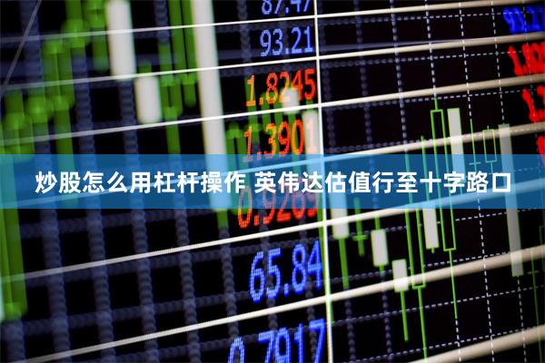 炒股怎么用杠杆操作 英伟达估值行至十字路口