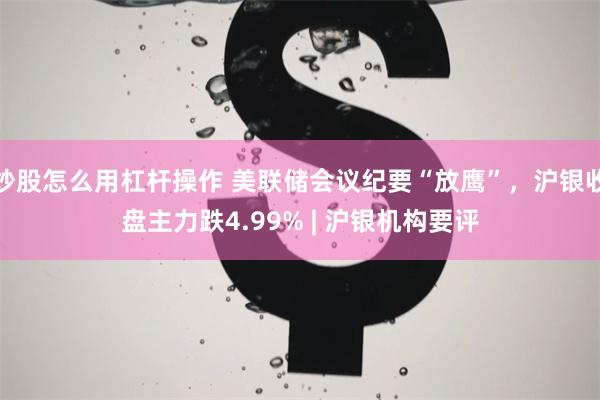 炒股怎么用杠杆操作 美联储会议纪要“放鹰”，沪银收盘主力跌4.99% | 沪银机构要评