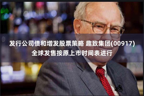 发行公司债和增发股票策略 趣致集团(00917)全球发售按原上市时间表进行