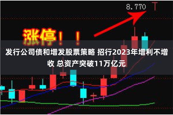 发行公司债和增发股票策略 招行2023年增利不增收 总资产突破11万亿元