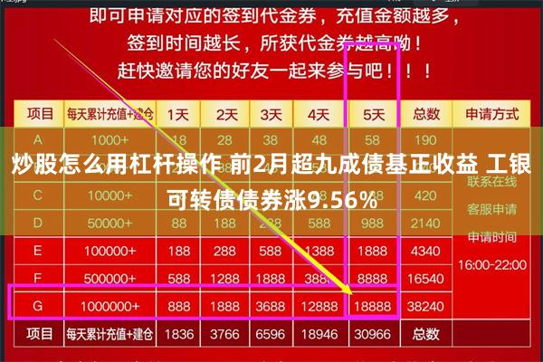 炒股怎么用杠杆操作 前2月超九成债基正收益 工银可转债债券涨9.56%