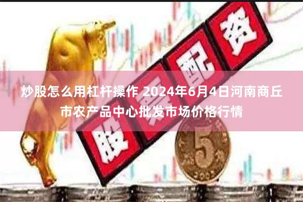 炒股怎么用杠杆操作 2024年6月4日河南商丘市农产品中心批发市场价格行情