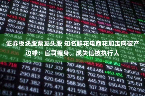 证券板块股票龙头股 知名鲜花电商花加走向破产边缘：官司缠身，成失信被执行人