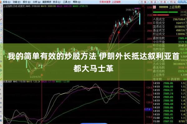我的简单有效的炒股方法 伊朗外长抵达叙利亚首都大马士革