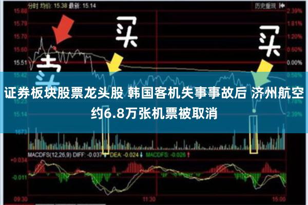 证券板块股票龙头股 韩国客机失事事故后 济州航空约6.8万张机票被取消